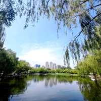 You won't feel blue in "Blue City" - Hohhot!