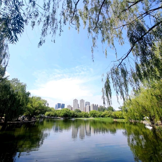 You won't feel blue in "Blue City" - Hohhot!