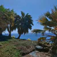 Stunning views over Santa Cruz de Tenerife