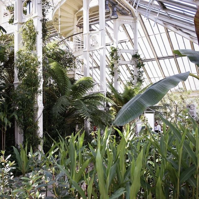 Kew Gardens: A Botanical Paradise