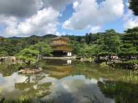 Enchanting Vibes of Kyoto 🏯🌸