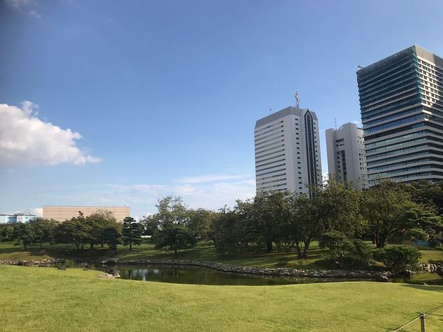 Tokyo's Springtime Splendor