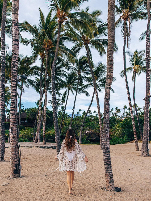  Fairmont Orchid - Hawaii