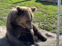 Zoo Kontakt - Liptovský Mikuláš, Slovakia