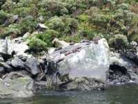 New Zealand’s Spectacular Fjord