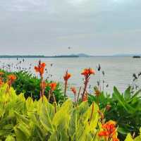 Wuhan beauty