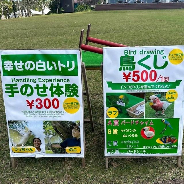 🐤東南植物樂園🦫日本最大的戶外植物園之一🌺