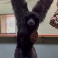 Cotswold Wildlife Park: Beautiful, spacious & intimate 