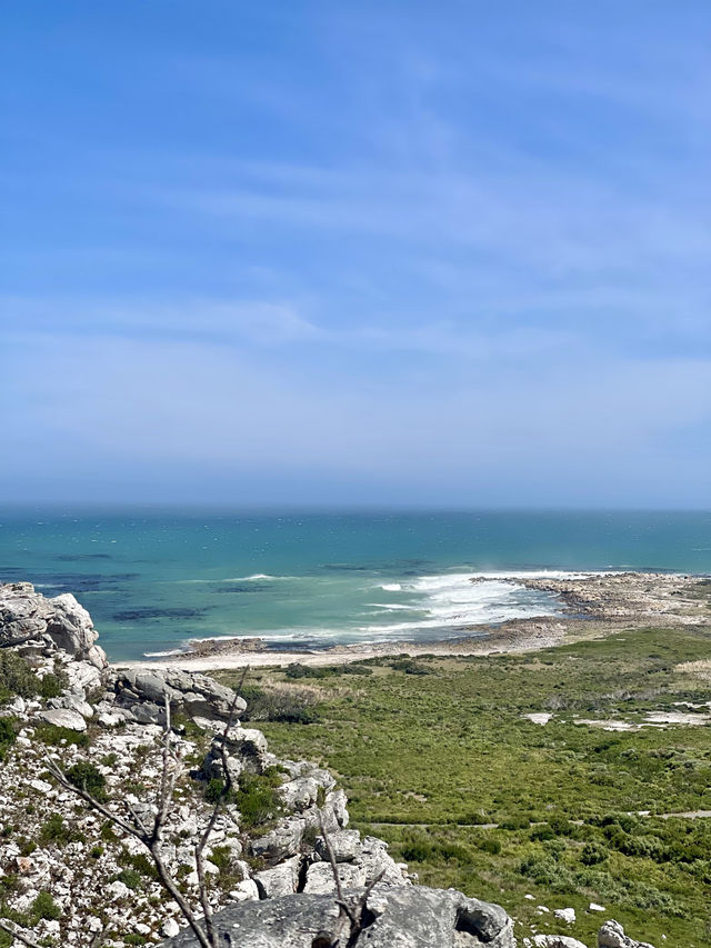 The most breathtaking view in CapeTown 🇿🇦😍