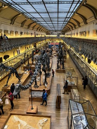 Day Trip to Paris