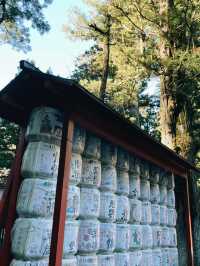 A Perfect Day Trip from Tokyo to Nikko