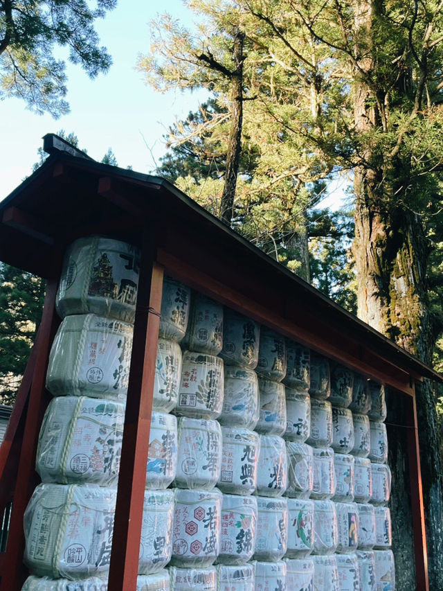 A Perfect Day Trip from Tokyo to Nikko