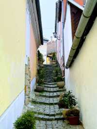 🇭🇺 聖安德烈（Szentendre）☂️