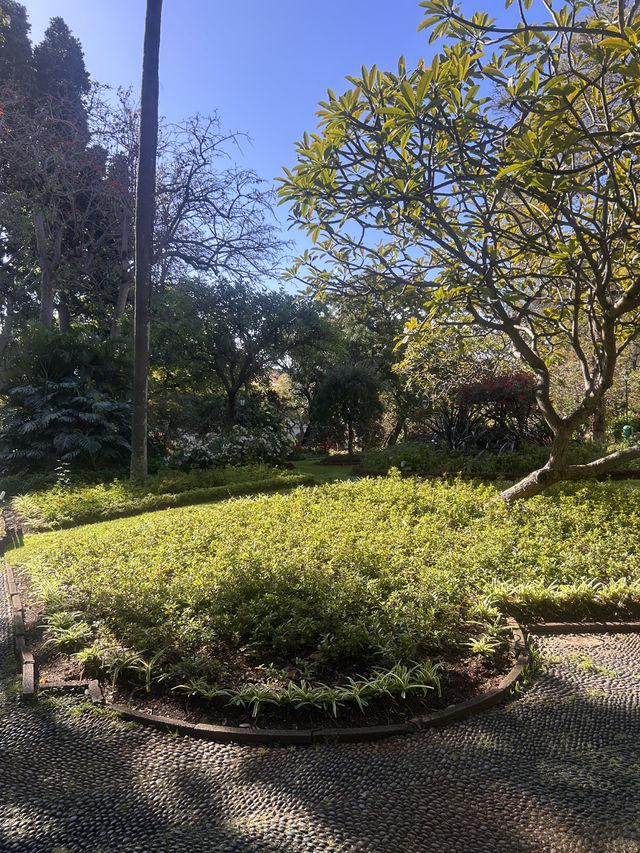 Green Funchal 
