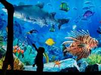 Enjoy marine-themed attractions @ SEA LIFE Bangkok Ocean World!