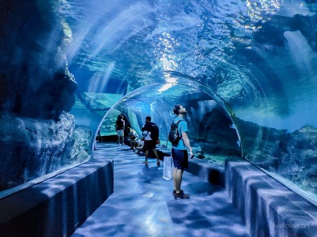 Enjoy marine-themed attractions @ SEA LIFE Bangkok Ocean World!