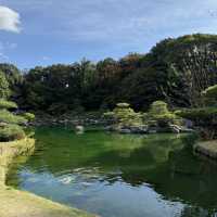 A Perfect Day in Fukuoka: Art, Gardens, Castle Views & Ramen Hits 