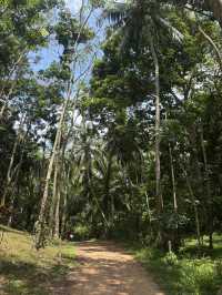 Most beautiful Island in Thailand
