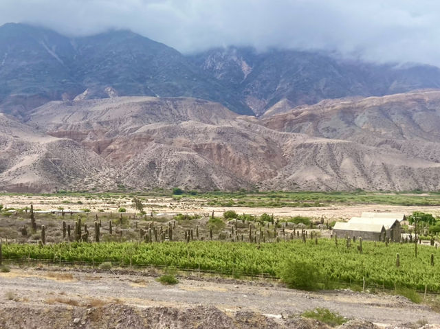 The Wine & Valleys Experience 