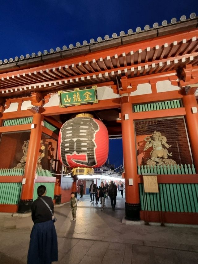 🌸 Jaw Dropping Japan - Shrines, Train Lines & Bovine.