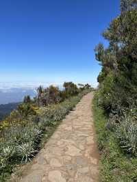 The Azores are one of the best hiking destinations in the world. 