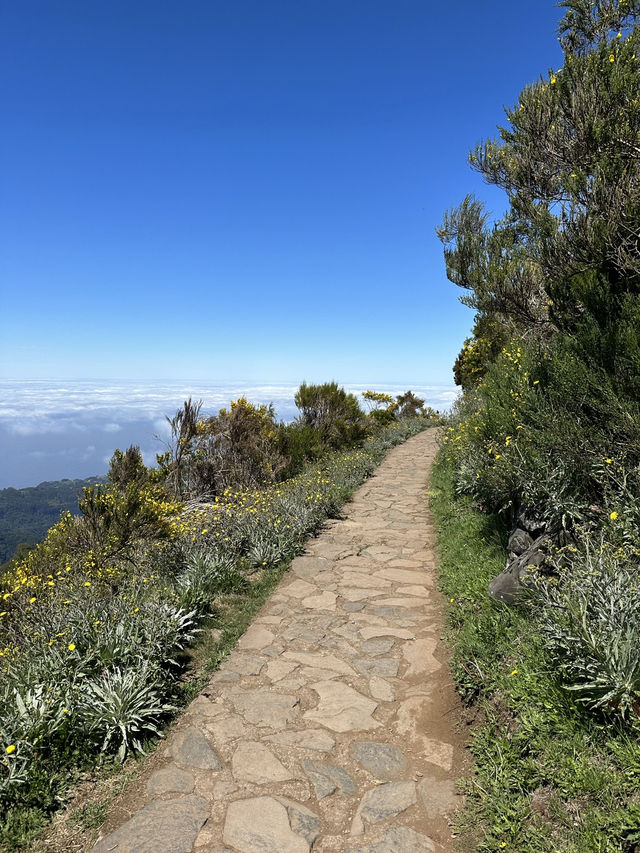 The Azores are one of the best hiking destinations in the world. 