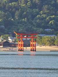 🇯🇵 My Ultimate 3-Week Japan Itinerary: Culture, Nature & City Buzz in One Epic Trip 🌸