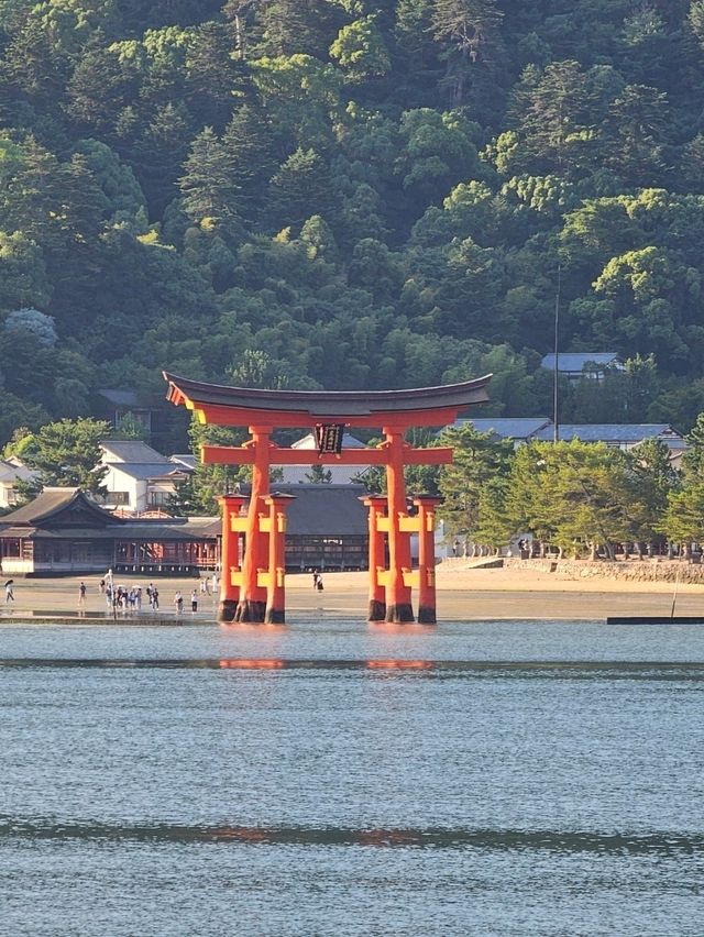 🇯🇵 My Ultimate 3-Week Japan Itinerary: Culture, Nature & City Buzz in One Epic Trip 🌸
