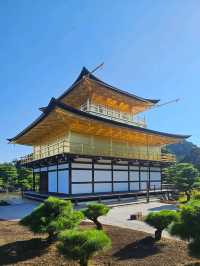 🇯🇵 My Ultimate 3-Week Japan Itinerary: Culture, Nature & City Buzz in One Epic Trip 🌸