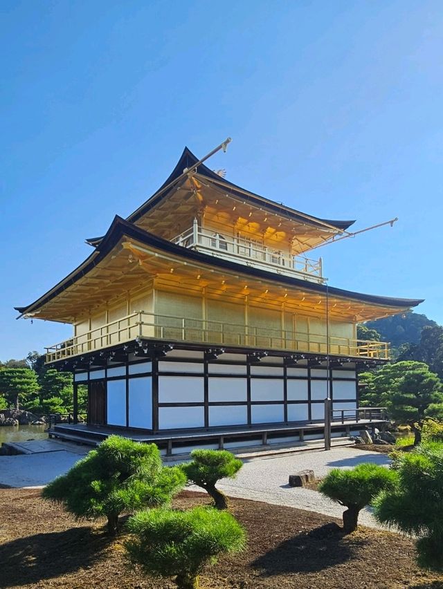🇯🇵 My Ultimate 3-Week Japan Itinerary: Culture, Nature & City Buzz in One Epic Trip 🌸