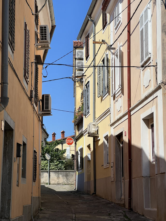 🇸🇮 斯洛維尼亞伊佐拉（Izola）🐚