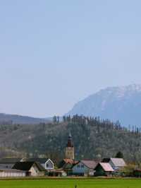 🌞🏰 Summer Budget Trip to Brașov — Historic Charm Meets Adventure!