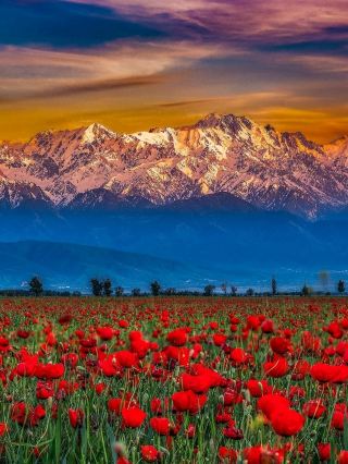 Trans-Ili Alatau (Talgar Range) – Tien Shan Majesty Beyond Almaty