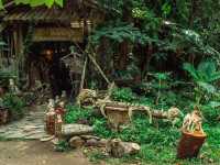 Giant Catfish Farm: A Peaceful Hidden Spot in Krabi