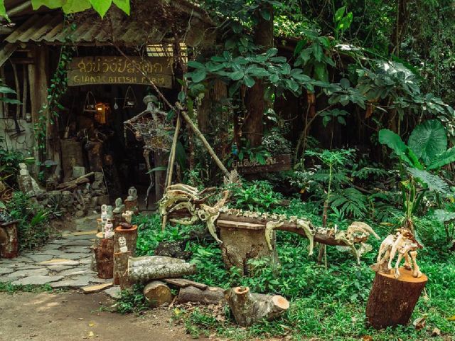 Giant Catfish Farm: A Peaceful Hidden Spot in Krabi