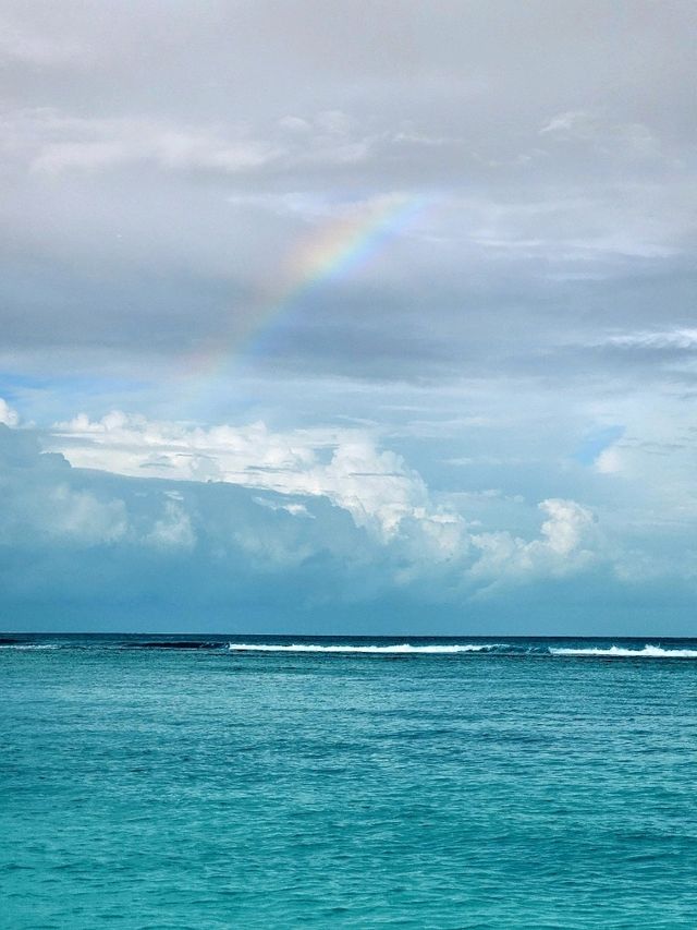 🌊 Dhiffushi Island, Maldives – A Local Island Paradise Experience