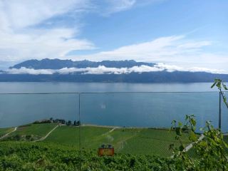 Lavaux ประเทศสวิตเซอร์แลนด์ - สถานที่อันสวยงามราวกับเทพนิยายที่มีทะเลสาบและไร่องุ่น