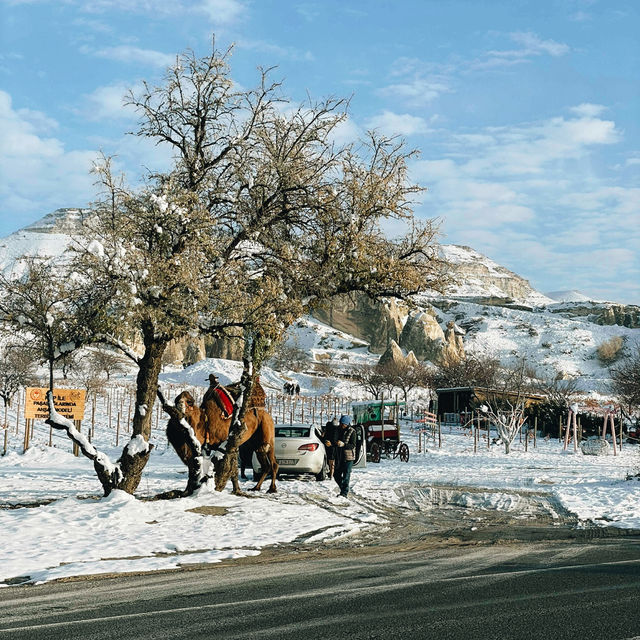 Cappadocia on a Budget: Magic Without the Price Tag Cappadocia on a Budget: Magic Without the Price Tag