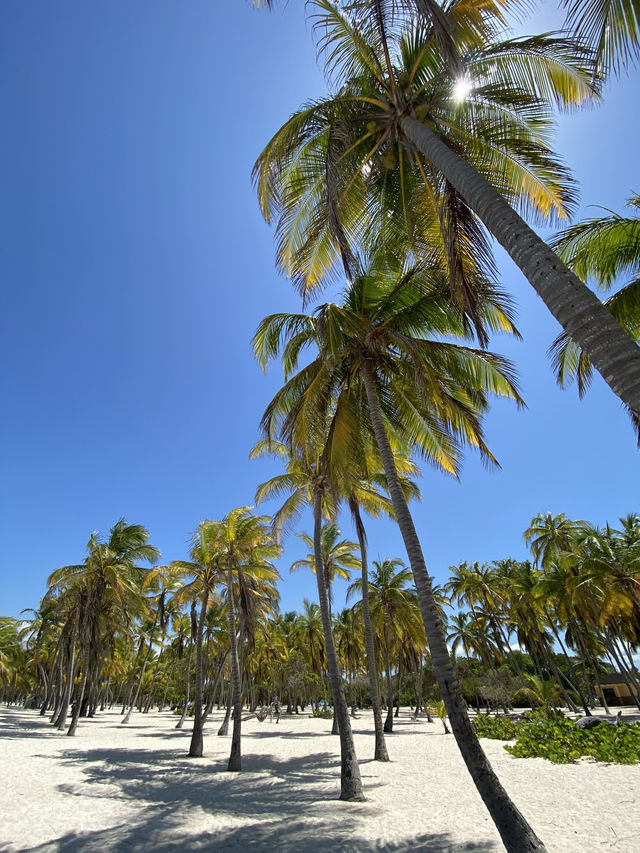 Venezuela Seaside Escape: Review from Morrocoy beach