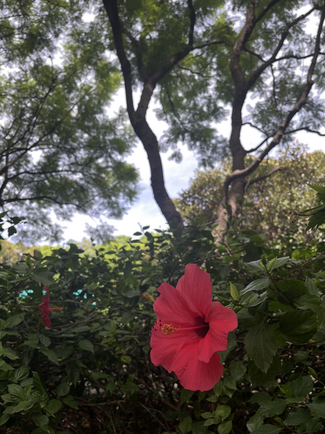 Valencia: Sun, History & Mediterranean Vibes ☀️🏛️🌊 Valencia: Sun, History & Mediterranean Vibes ☀️🏛️🌊