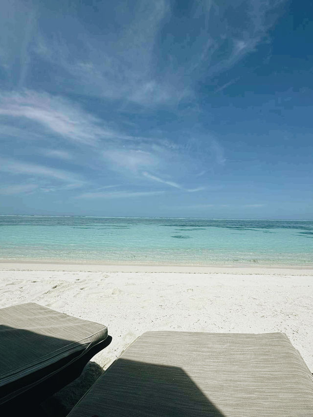 Why Bother Living Anywhere Else When You've Found Paradise? ✈️🌴🍹
