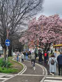 A Day in Milano