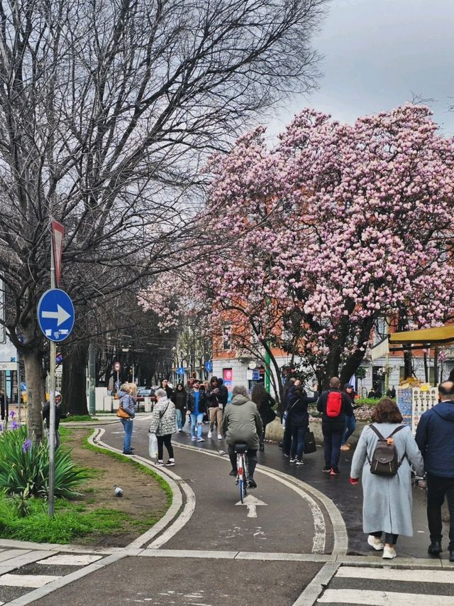 A Day in Milano