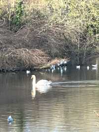 探索千年遺址秘境之旅