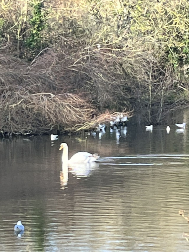 探索千年遺址秘境之旅 探索千年遺址秘境之旅