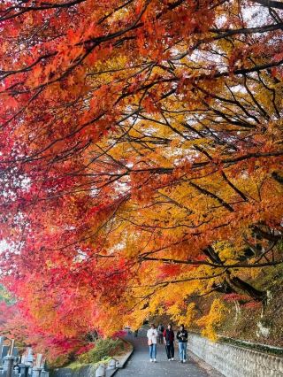 가을 색깔 탐험