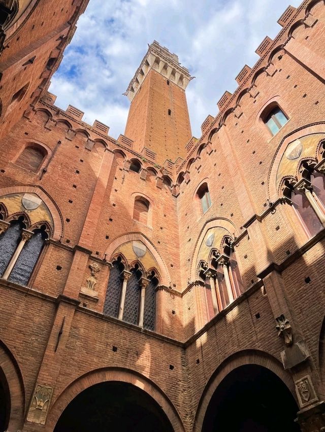 Sunny Fall Escape🍁