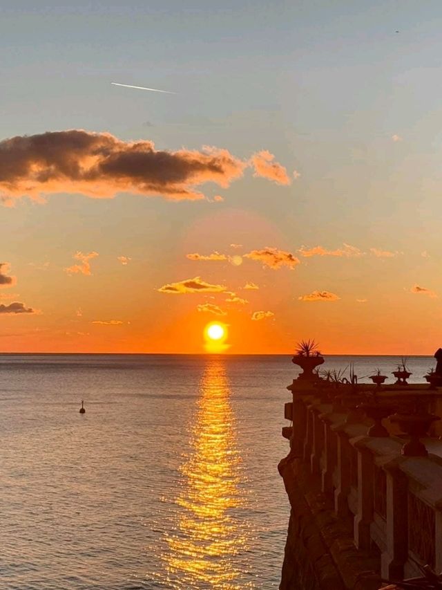 Sunlit Waterside🌊 Sunlit Waterside🌊