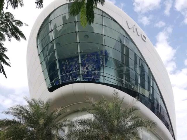 Shekou Sea World 🌟