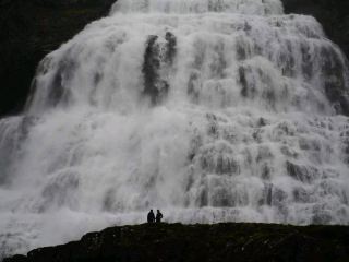 Westfjords Jewel✨,